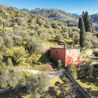 /international/it/stiava-tuscany-310107186231/