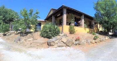 /international/it/suvereto-tuscany-310104065433/