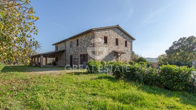 /international/it/san-venanzo-umbria-120095975741/