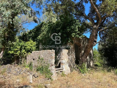 /international/it/campo-nell-elba-tuscany-310100993306/?lang=zh-tw