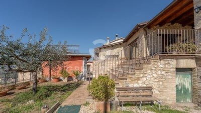 /international/it/trevi-veneto-310105030790/