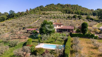 /international/it/collazzone-umbria-310108792979/