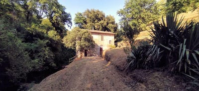 /international/it/lamporecchio-tuscany-310107185145/