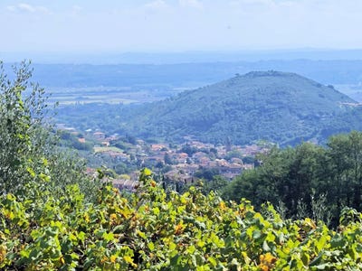 /international/it/buti-tuscany-310107185346/