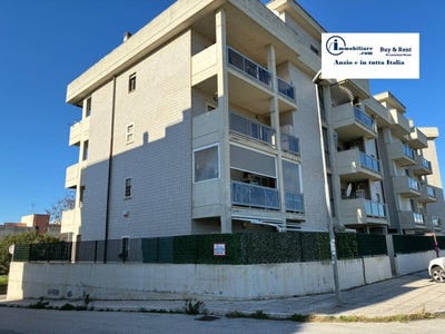 /international/it/nettuno-lazio-310105916480/