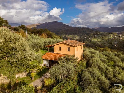 /international/it/pescia-pescia-tuscany-310103537373/