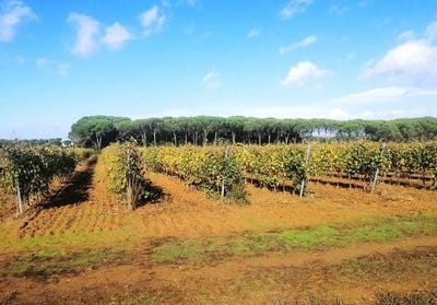 /international/it/cortona-tuscany-310106837433/