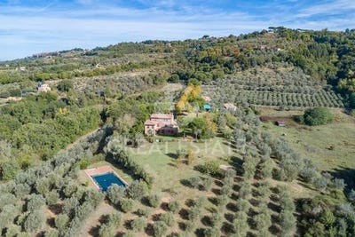 /international/it/citta-della-pieve-umbria-310100406078/