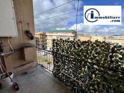 /international/it/nettuno-lazio-310098677379/