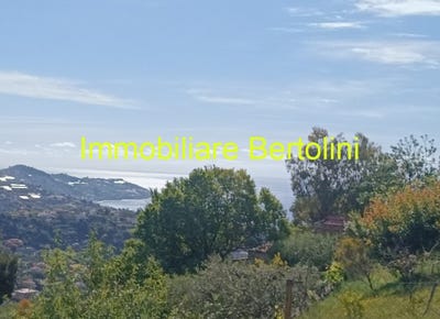 /international/it/sanremo-liguria-310108127219/