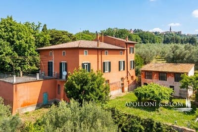 /international/it/assisana-perugia-umbria-310106287176/