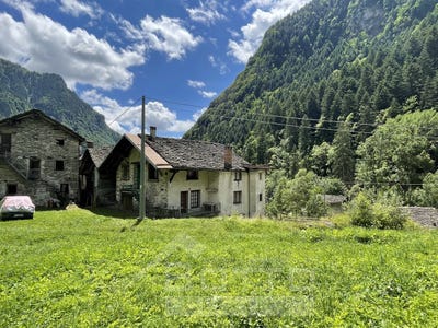/international/it/mollia-piedmont-310104594169/