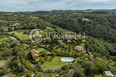 /international/it/scansano-tuscany-310108184989/?lang=it