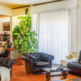 /international/it/sestri-levante-liguria-310109575644/