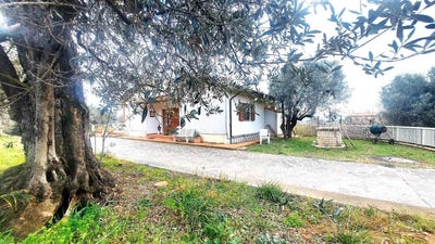 /international/it/livorno-tuscany-310108325403/