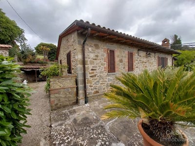 /international/it/tuoro-sul-trasimeno-umbria-310108184559/