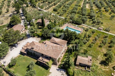/international/it/seggiano-tuscany-120084923470/