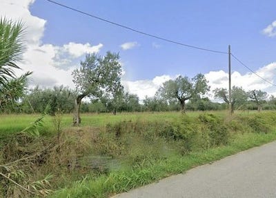 /international/it/localita-del-mondiglio-le-morelline-cecina-lombardy-310108186966/