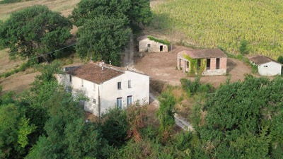 /international/it/fratta-todina-umbria-310105422039/