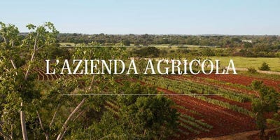 /international/it/grosseto-tuscany-310108319244/
