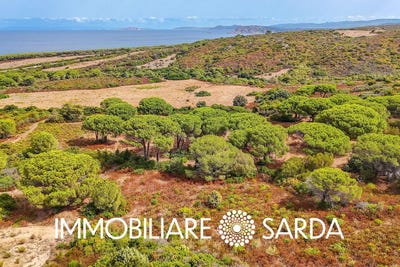 /international/it/aglientu-sardinia-310107068744/