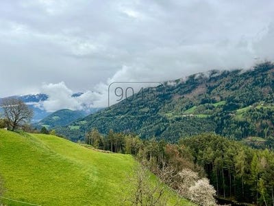 /international/it/die-adresse-erhalten-sie-vom-anbieter-terenten-province-of-trento-310101515117/