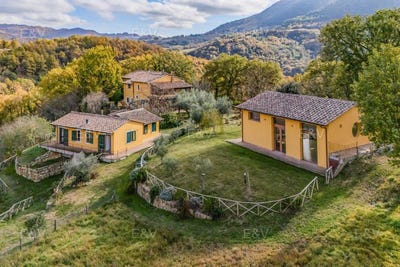 /international/it/assisi-umbria-310108431128/