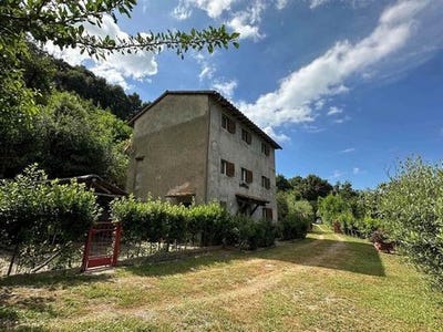 /international/it/sassetta-tuscany-310101382931/