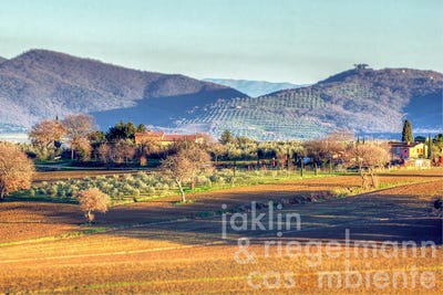 /international/it/castiglione-del-lago-umbria-310108526920/