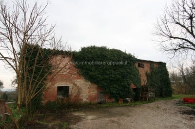 /international/it/bettolle-tuscany-310097550077/