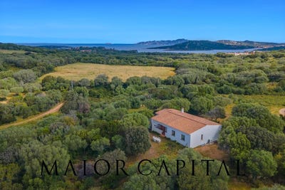 /international/it/palau-sardinia-310108317046/