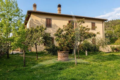 /international/it/arezzo-tuscany-310108324435/