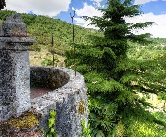 /international/it/casalvieri-casalvieri-lazio-310107493585/
