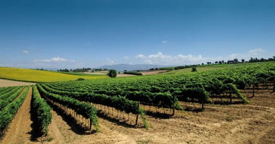 /international/it/arezzo-tuscany-310108322013/
