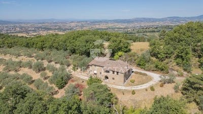 /international/it/assisi-umbria-310101378273/