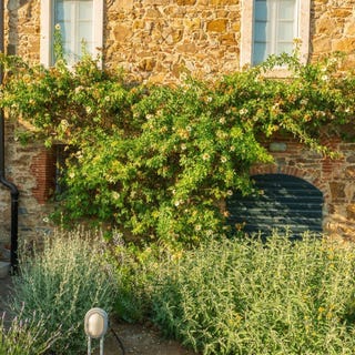 /international/it/sinalunga-tuscany-310107980152/