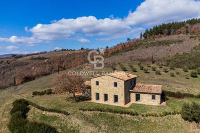 /international/it/citta-di-castello-umbria-310106284074/