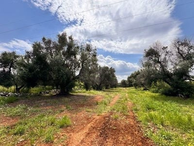 /international/it/carovigno-apulia-310107865116/