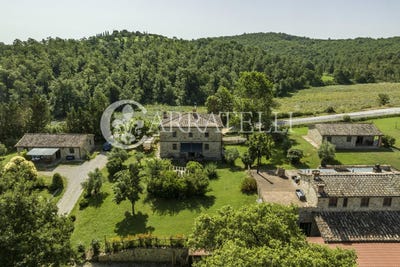 /international/it/citta-della-pieve-umbria-310100558647/