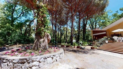 /international/it/sabaudia-lazio-310101208668/?lang=zh-tw