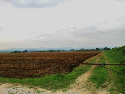 /international/it/montepulciano-tuscany-310100709965/