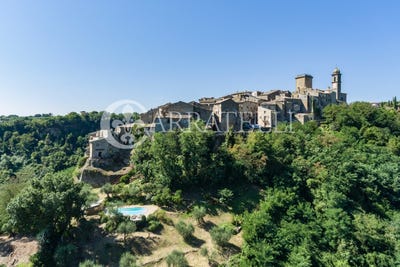 /international/it/civitella-d-agliano-lazio-310103666383/