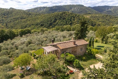 /international/it/montegonzi-tuscany-310102439370/