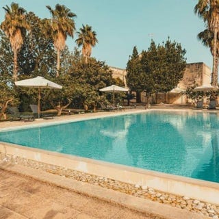 /international/it/cavallino-apulia-310107449637/
