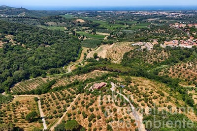 /international/it/castagneto-carducci-tuscany-310109911629/