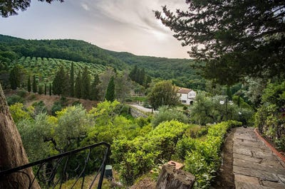 /international/it/collesalvetti-tuscany-310106835566/