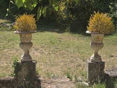 /international/it/montepulciano-tuscany-310110008758/