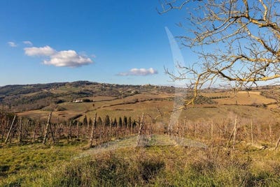 /international/it/firenze-tuscany-310108322332/