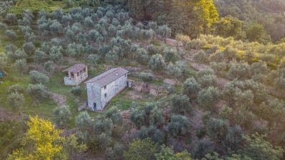/international/it/corsanico-massarosa-tuscany-310101388430/?lang=zh-tw
