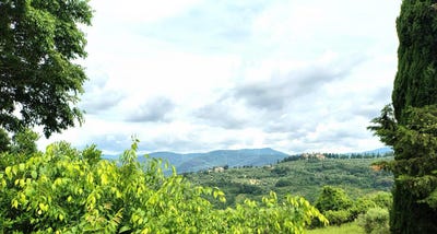 /international/it/bagno-a-ripoli-tuscany-310105518524/